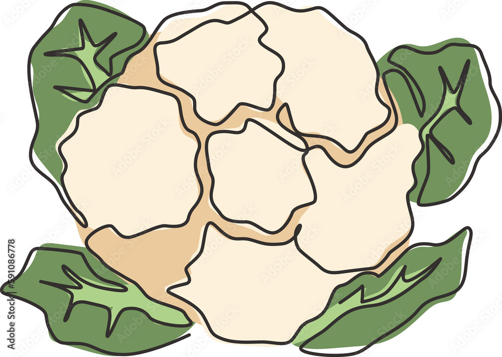 Single continuous line drawing of whole healthy organic cauliflower for farm logo identity. Fresh brassica oleracea concept for vegetable icon. Modern one line draw design graphic vector illustration Single continuous line drawing of whole healthy organic cauliflower for farm logo identity. Fresh brassica oleracea concept for vegetable icon. Modern one line draw design graphic vector illustration