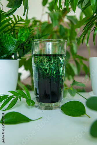 liquid chlorophyll in a glass. Selective focus. photo