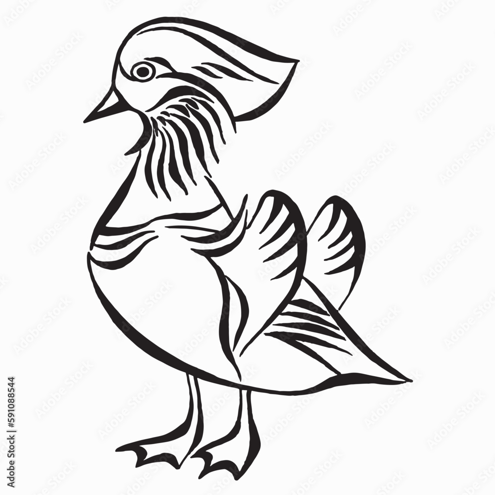 Mandarin duck silhouette drawing. Vector illustration of mandarin drake