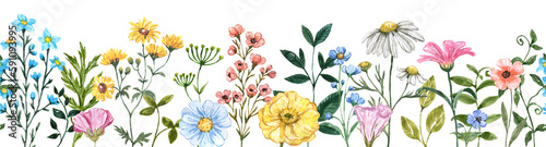Fotografie Wildflowers seamless border