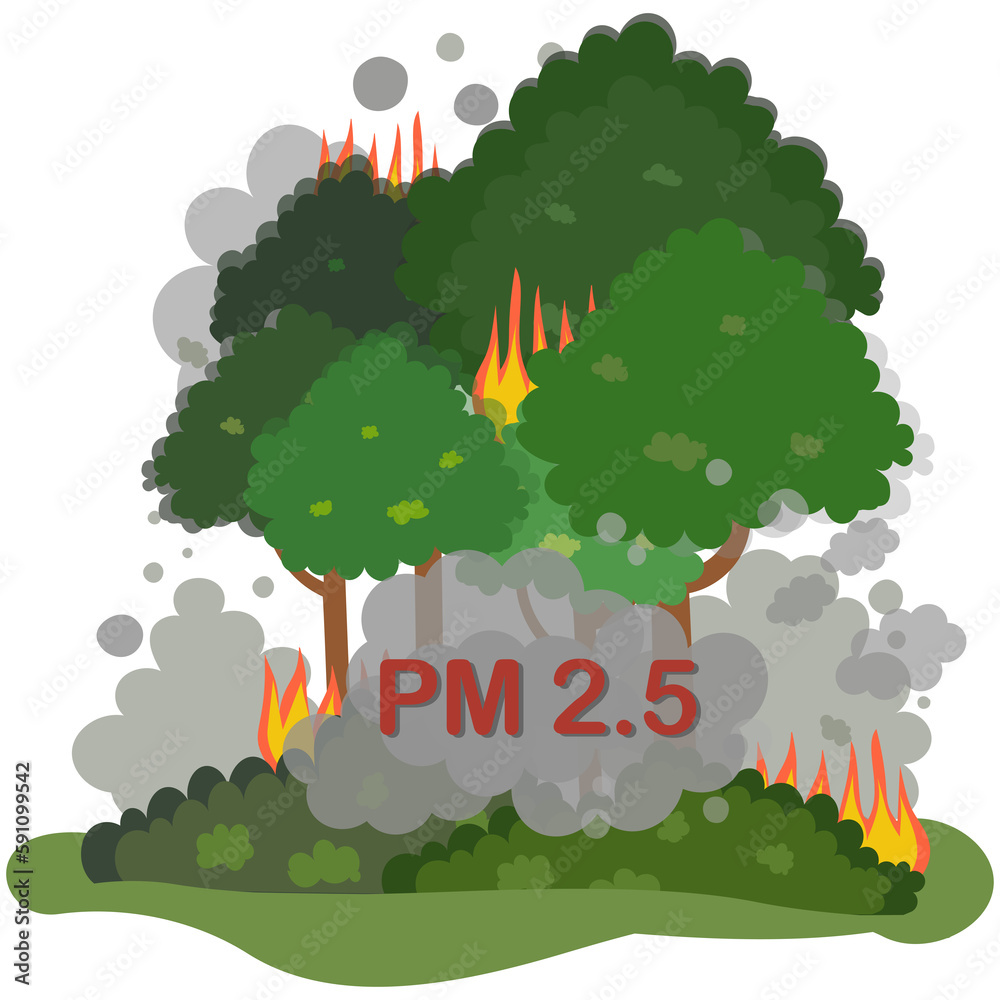 Causes of PM2.5 air pollution, small dust particles caused by forest