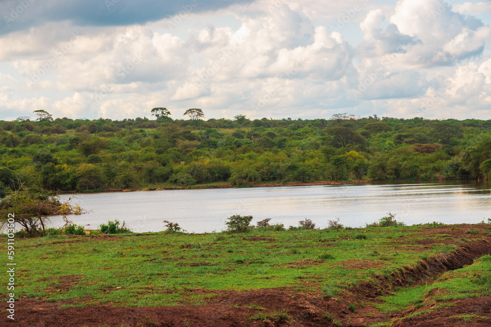 A watering hole in Nairobi National Park, Kenya