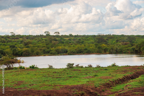 A watering hole in Nairobi National Park, Kenya