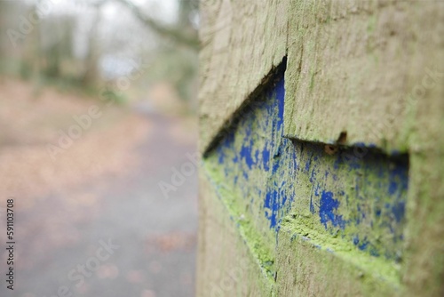 Closeup of big directional arrow in the wall in the park on a blurred background
