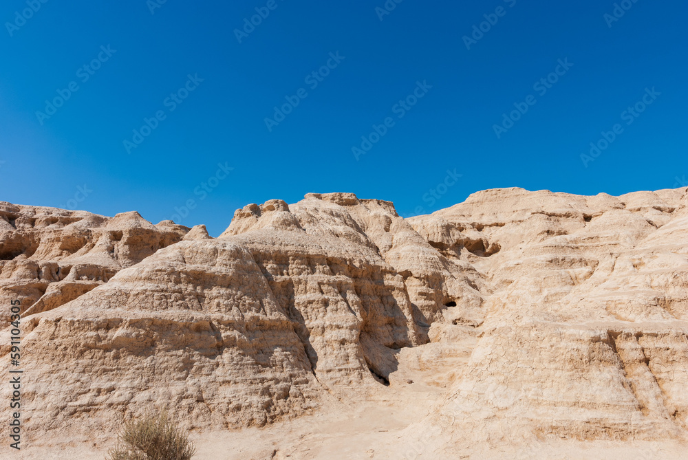 landscape in the desert