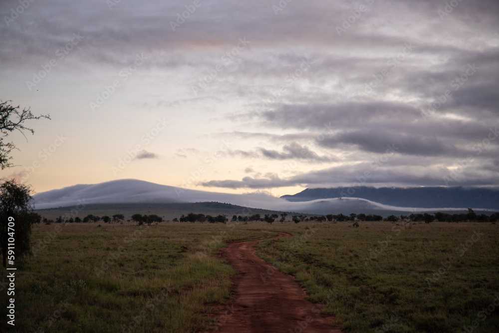 Beautiful landscape in Africa, savanna taken on a safari. beautiful views of Kenya and its animal world. Panorama, sunrise, mountains, clouds and animals in Kenya