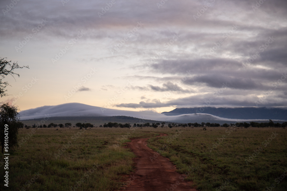 Beautiful landscape in Africa, savanna taken on a safari. beautiful views of Kenya and its animal world. Panorama, sunrise, mountains, clouds and animals in Kenya Beautiful landscape in Africa, savanna taken on a safari. beautiful views of Kenya and its animal world. Panorama, sunrise, mountains, clouds and animals in Kenya