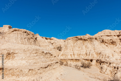 landscape in the desert