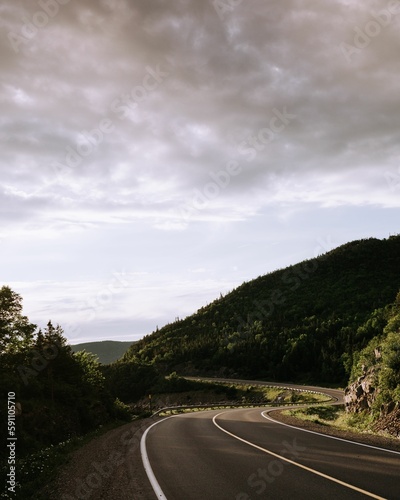 Vertical shot of a winding road passing through a montane forest under a cloudy sky