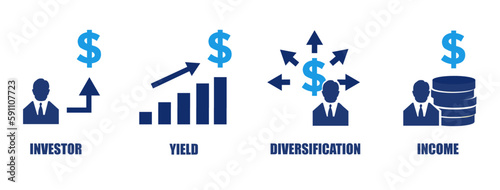 Investor strategy and portfolio diversification