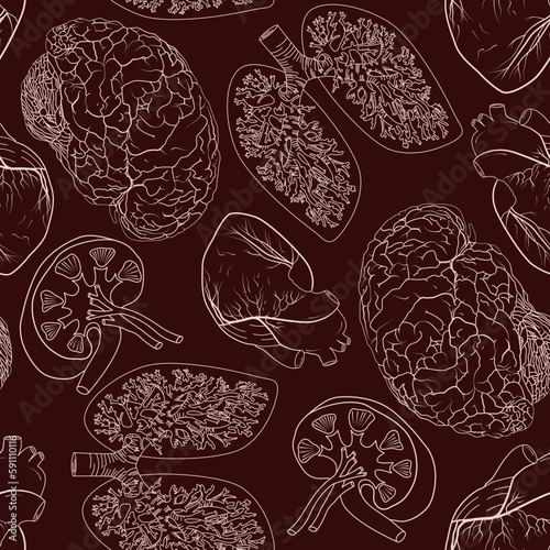 seamless pattern with human body parts. realistic anatomical background with brain, heart, lungs and kidneys of the human body