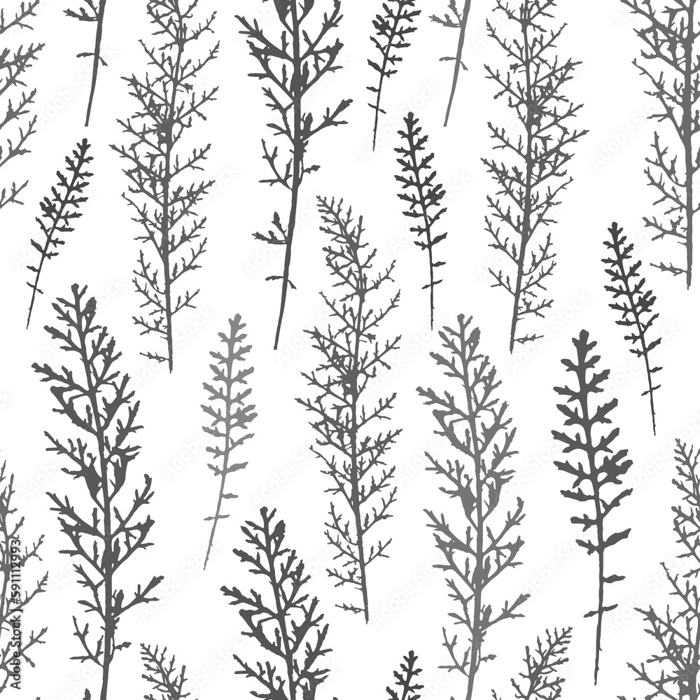 Seamless grassy pattern with gray plant silhouettes on a white background. Design for fabric, cover, packaging, textiles. Seamless grassy pattern with gray plant silhouettes on a white background. Design for fabric, cover, packaging, textiles.