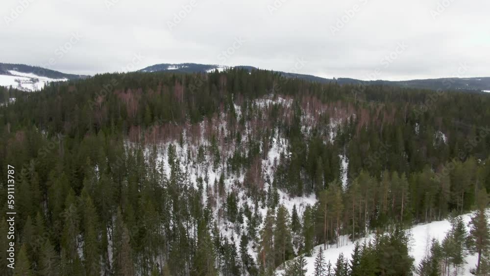 Aerial view over forest and mountains in winter climate Aerial view over forest and mountains in winter climate