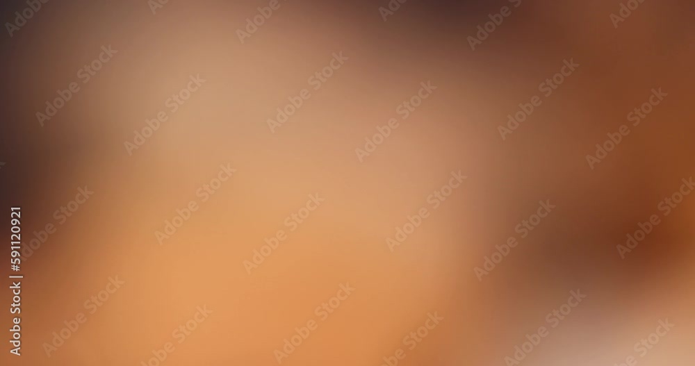 focus on ripe and delicious tamarind pod, close-up of tamarind in the kitchen focus on ripe and delicious tamarind pod, close-up of tamarind in the kitchen