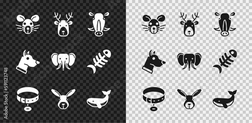 Set Rat head, Deer with antlers, Wild boar, Collar name tag, Rabbit, Whale, Dog and Elephant icon. Vector