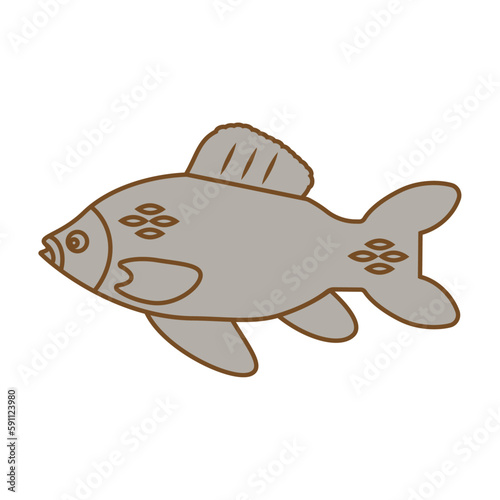 Fish crucian carp