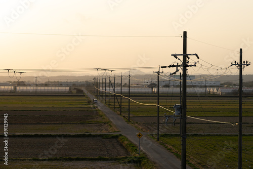 電線、田園、とわに