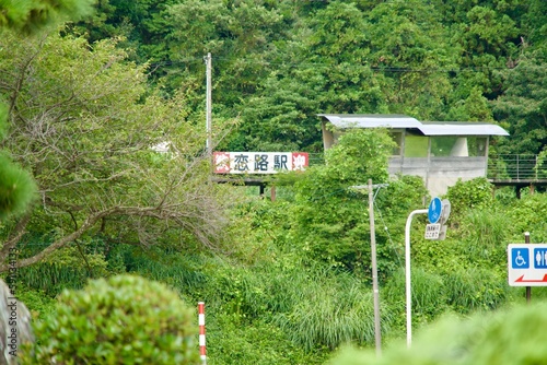 Koiji Station surrounded by trees Japanese translation: Koiji Station