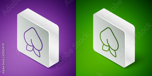Isometric line Peach fruit or nectarine with leaf icon isolated on purple and green background. Silver square button. Vector