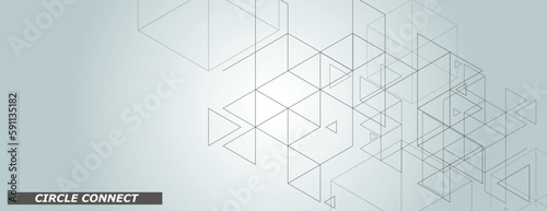 Abstract hexagons design. Honeycomb pattern on white background. Vector connet polygonal shapes