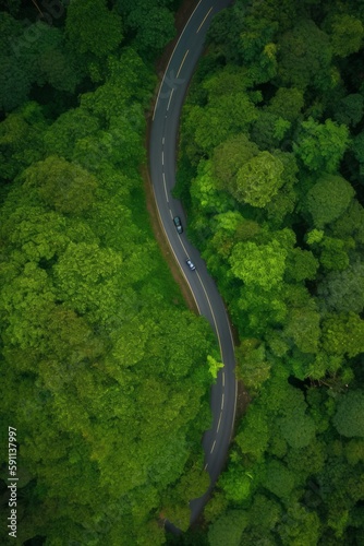 A green forest and tree-covered curve road in the style of aerial photography. Generative AI.