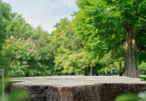 Wood tabletop podium floor in outdoors green leaf tropical forest nature landscape background.Organic healthy natural product present placement pedestal counter display,spring summer jungle concept.