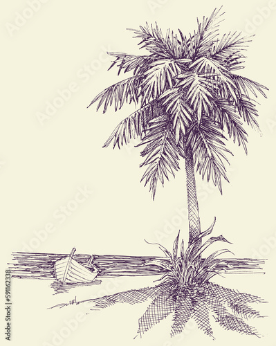 Wooden boat on sea shore, palm tree on the beach drawing