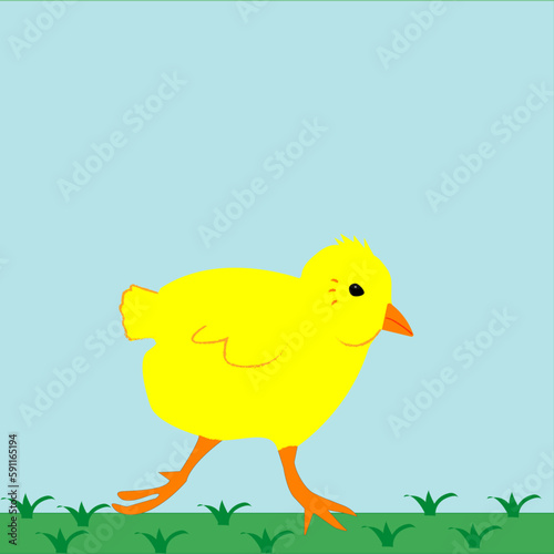 A Focused Feathered Forager