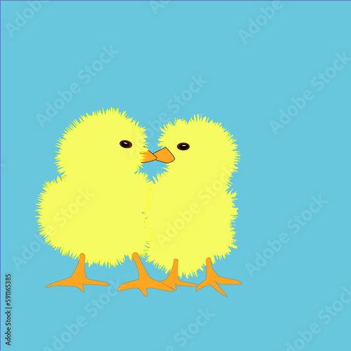 Adorable chicks kissing