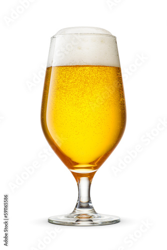 Tulip glass of fresh golden-colored beer with cap of foam isolated on white background.