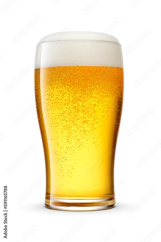 Tulip pint glass of fresh golden-colored beer with cap of foam isolated on white background. Tulip pint glass of fresh golden-colored beer with cap of foam isolated on white background.