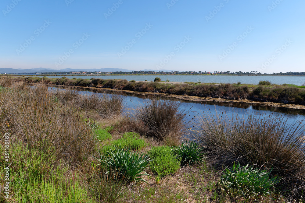 Salt marshes in the Giens peninsula. French Riviera coast Stock Photo