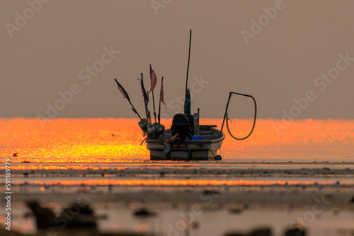 the sun on the beach