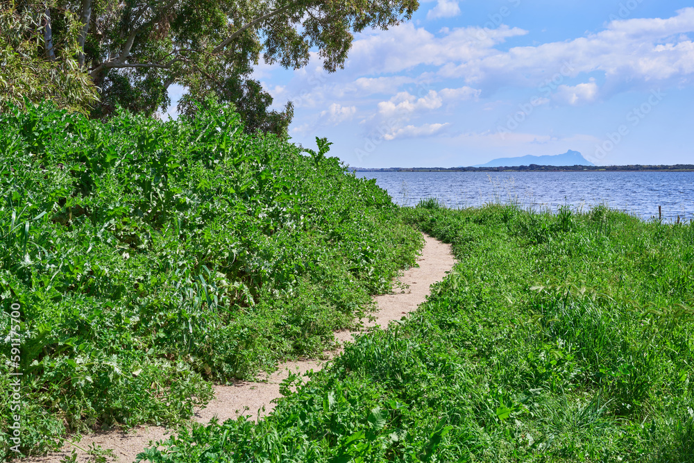Walking path with booming plants by Lake Fogliano, Circeo, National Park, Italy Walking path with booming plants by Lake Fogliano, Circeo, National Park, Italy