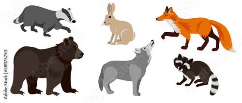 Fototapeta Naklejka Na Ścianę i Meble -  vector drawing set of animals, fox, rabbit, bear,wolf, badger,racoon, isolated at white background , cartoon style characters