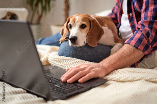 A man and his beagle conquering work tasks together. Focused and furry concept. Boosting productivity with the help of pets