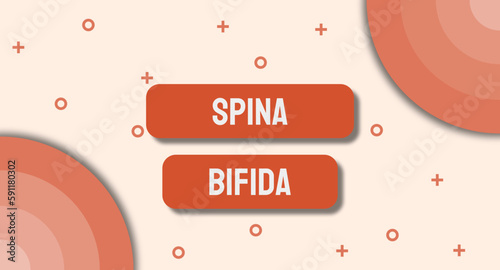 Spina Bifida - A congenital condition in which the spinal column does not fully develop, leading to various physical and neurological impairments.