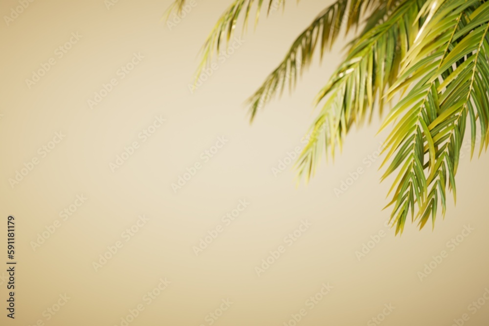 abstract background of a sandy beach with palm trees. copy paste, copy space. 3D render