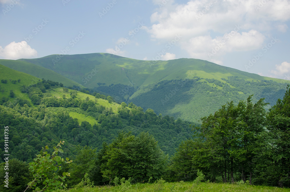 View of green hills and mountains, Ukrainian Carpathians, summer landscape of mountains