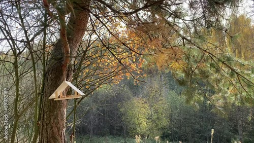 Wooden handmade bird feeder on a tree in autumn forest