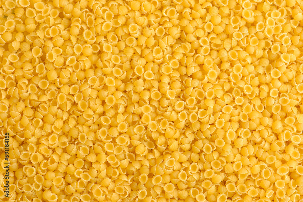 Raw small pasta shells. Raw small pasta shells.
