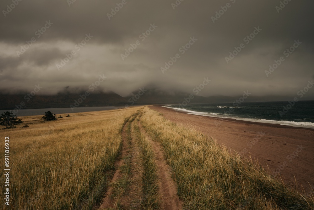 Fototapeta premium Scenic view of sea waves crashing against a sandy beach covered wit green grass on a cloudy day