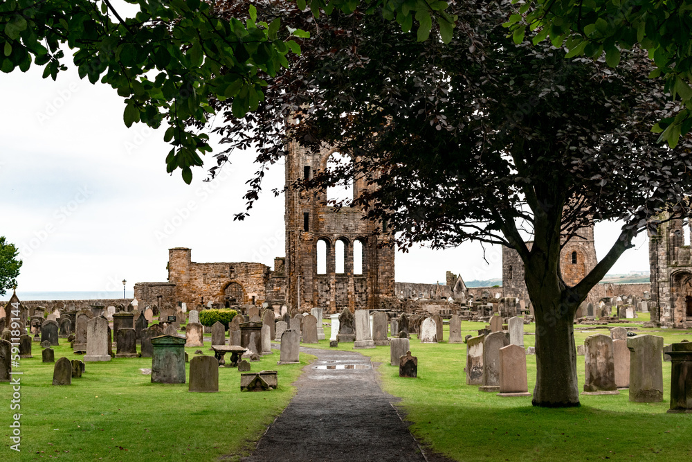 Ruinas de la Catedral de St Andrews en Escocia. Lápidas de piedra en los terrenos de la iglesia junto a un árbol.