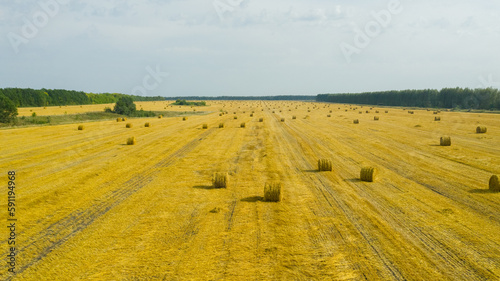 Top view of golden agricultural field with bales of hay. Bales of wheat after harvesting on the field. Agricultural field made of yellow round round big bales after harvest, straw rolls, straw bales