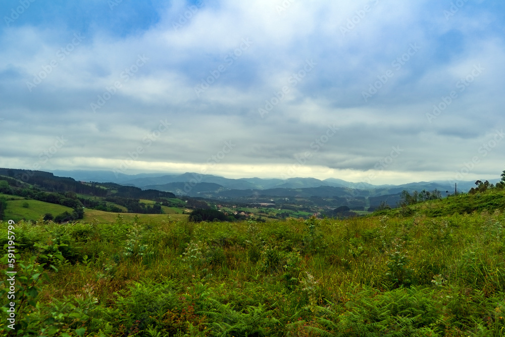 landscape in mountains. grassy field and rolling hills out of focus