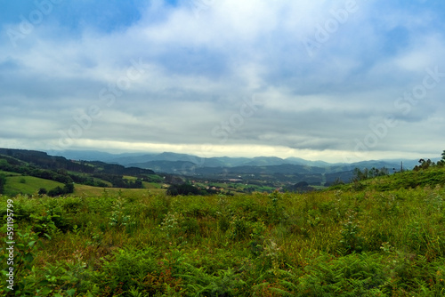 landscape in mountains. grassy field and rolling hills out of focus
