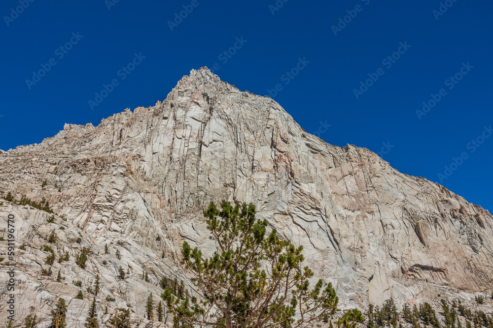 Mountain cliff wall with pine forest below Mountain cliff wall with pine forest below