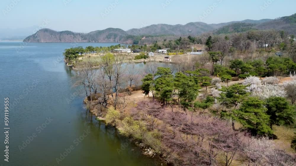 Spring in Korea called migratory birds and cherry blossoms. Spring in Korea called migratory birds and cherry blossoms.
