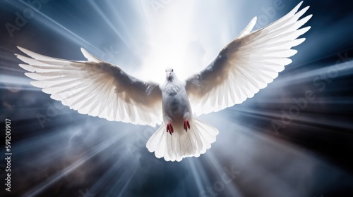 A dove coming down from heaven - Symbol of the holy spirit - cold clouds and lightrays © Arne