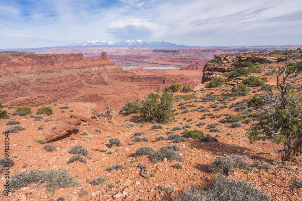 Fototapeta premium hiking the dead horse trail in dead horse point state park in utah, usa